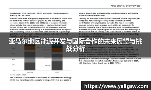 蓝狮在线平台
